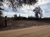 0 Harmon Williams Road - Photo 2
