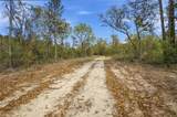 03 Newman Road - Photo 3