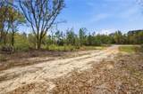 03 Newman Road - Photo 6