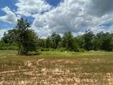 0 Sandy Creek Lane - Photo 7