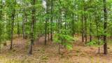 10835 Mitt Drive - Photo 14
