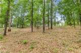 10835 Mitt Drive - Photo 3