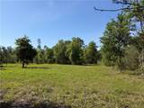 0 Sandy Creek Lane - Photo 7