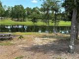 1150 Celeste Springs Drive - Photo 10