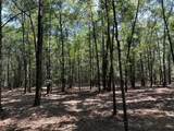 0 Danner Road - Photo 10