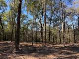 0 Danner Road - Photo 4