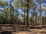 0 Danner Road - Photo 6