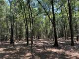 0 Danner Road - Photo 9