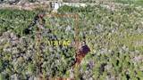 0 Satsuma Place - Photo 12