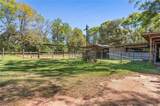 3200 Driskell Loop Road - Photo 19