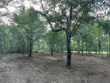 0 Newman Road - Photo 4