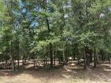 0 Newman Road - Photo 5