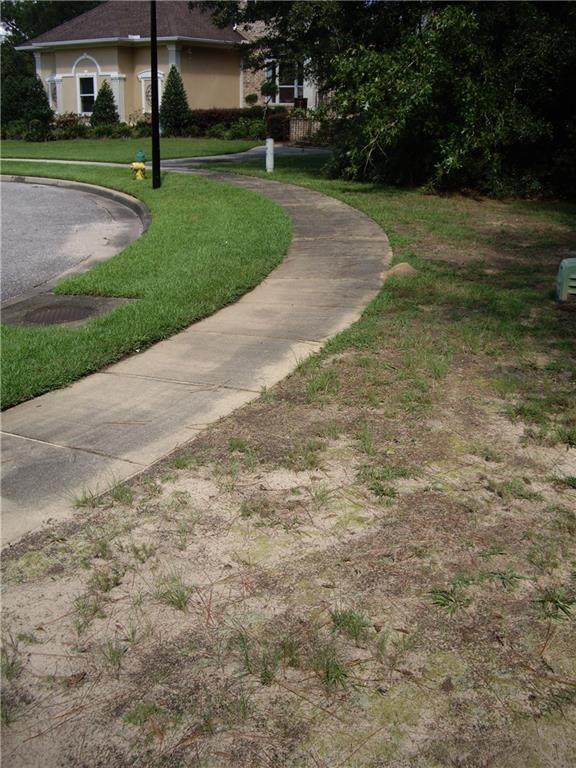 24 Red Maple Drive - Photo 1