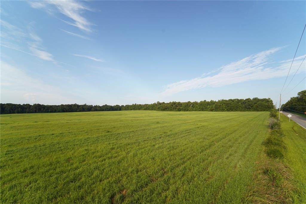 1975 Schillinger Road - Photo 1