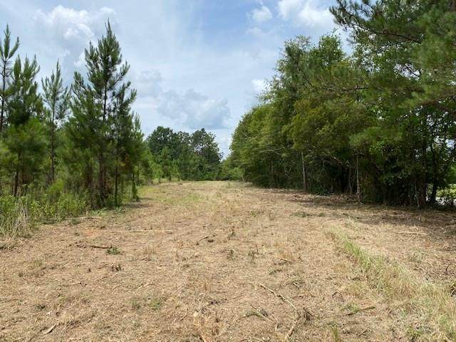0 Box Road - Photo 1