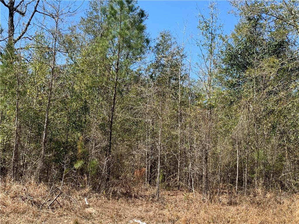 0 Shelton Beach Road - Photo 1