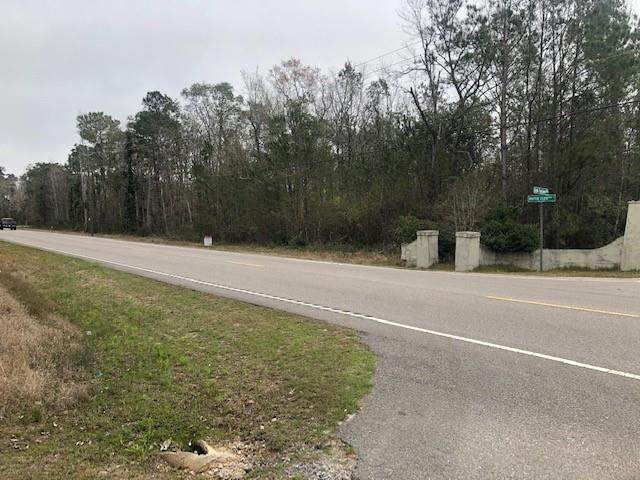 0 Dauphin Island Parkway - Photo 1