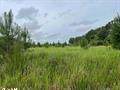 0 Rains Road - Photo 1