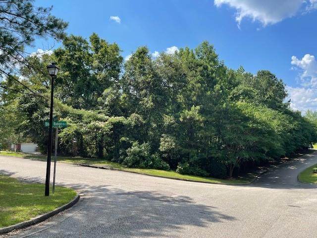 0 Deanna Court - Photo 1