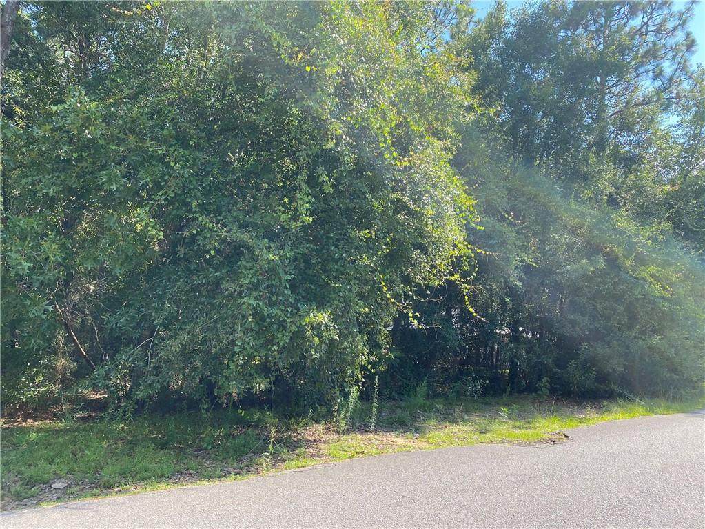 0 Timber Creek Drive - Photo 1