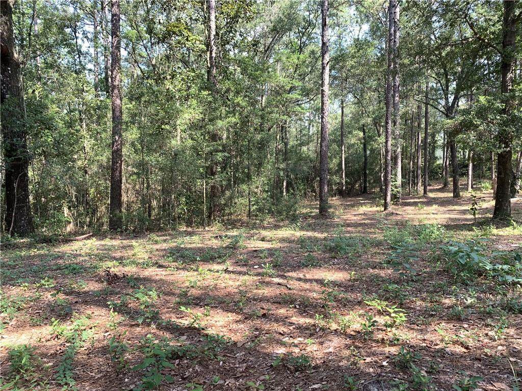0 Leroy Stevens Road - Photo 1