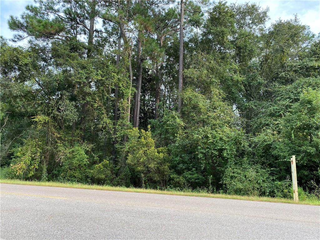 0 Old Pascagoula Road - Photo 1