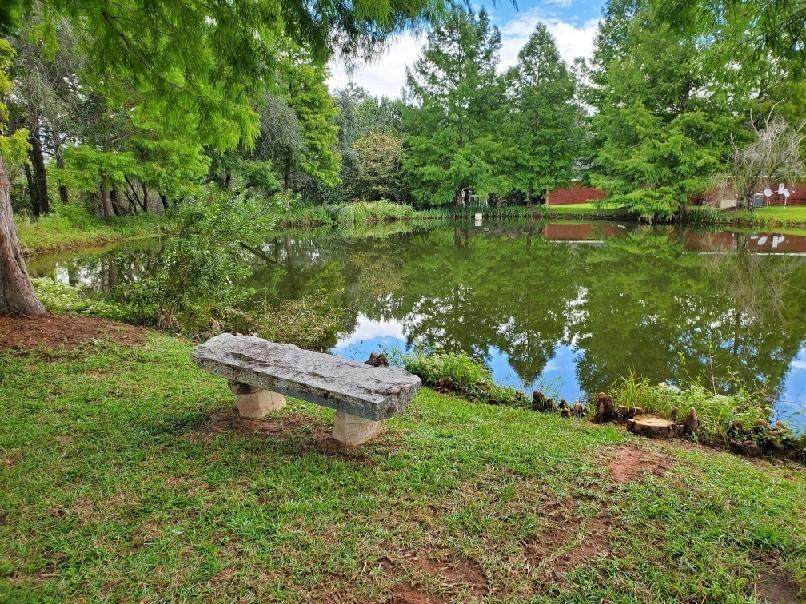 4200 Hamilton Oaks Lane - Photo 1