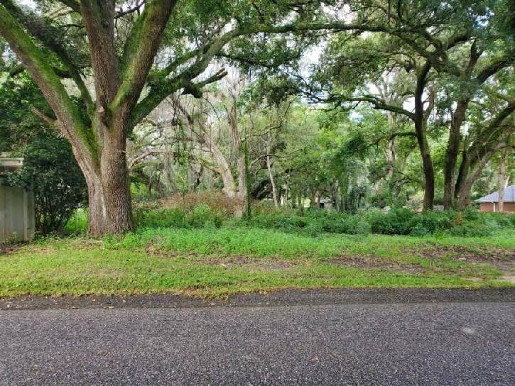 4200 Hamilton Oaks Lane - Photo 1