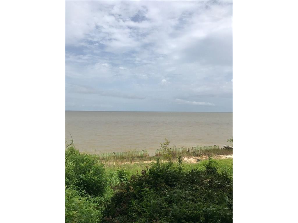 12955 Dauphin Island Parkway - Photo 1