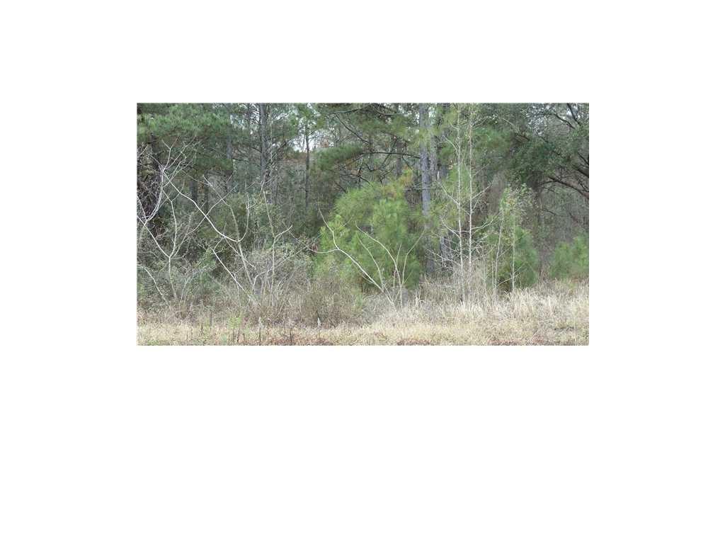 0 Hardy Drive - Photo 1