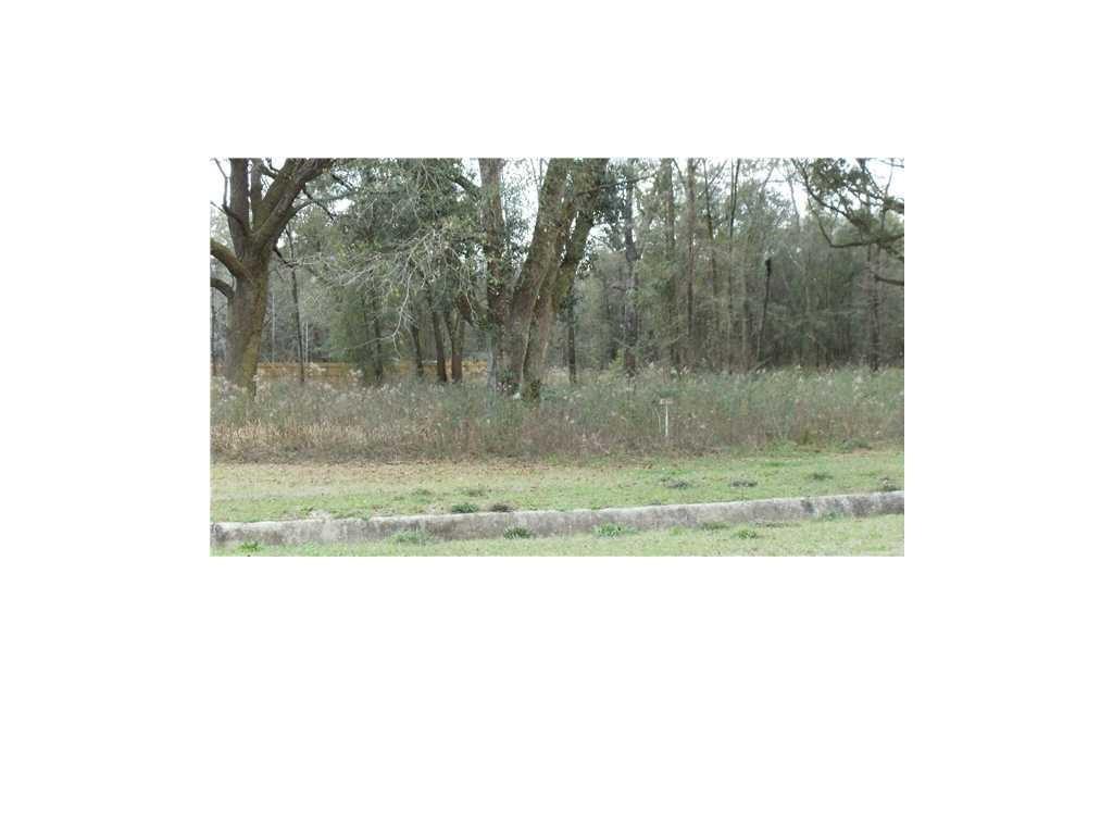 0 Hardy Drive - Photo 1