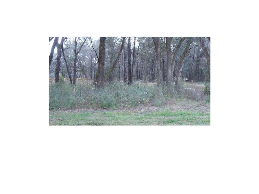 0 Hardy Drive - Photo 1