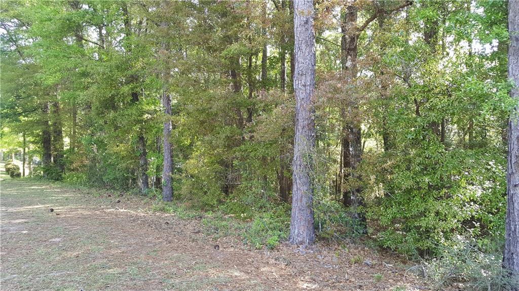 0 Pecan Drive - Photo 1