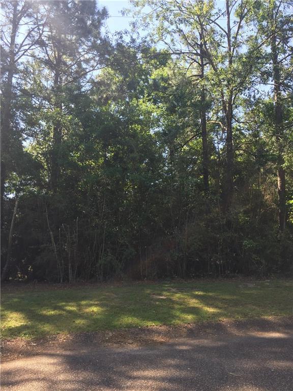0 Hickory Court - Photo 1