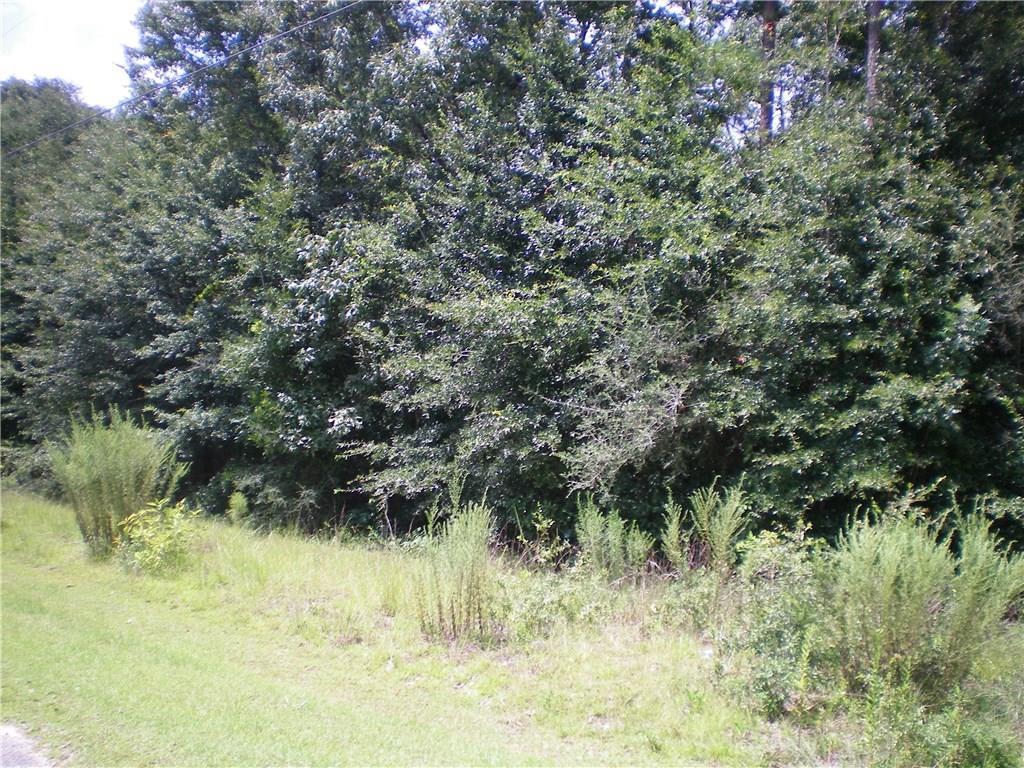 0 Timber Creek Drive - Photo 1