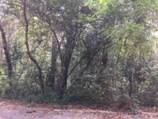 0 Rock Creek Drive - Photo 1
