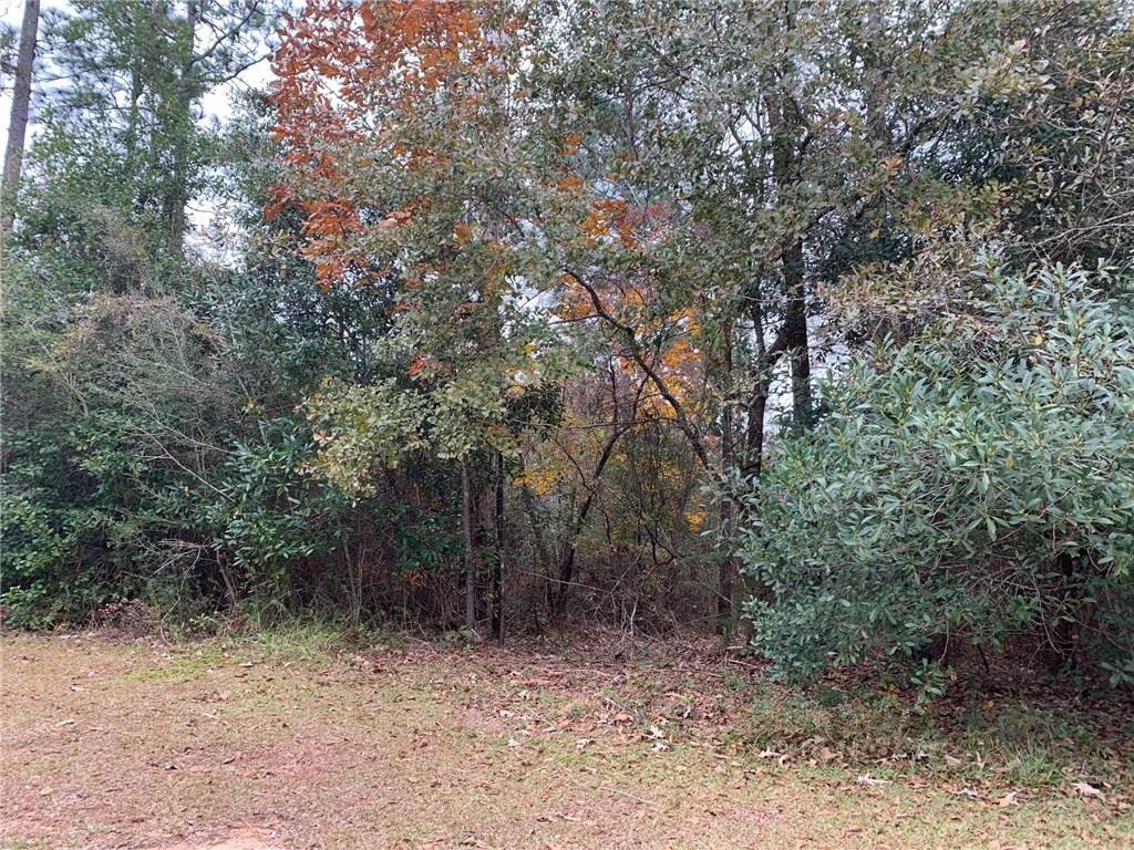 0 Northshore Drive - Photo 1