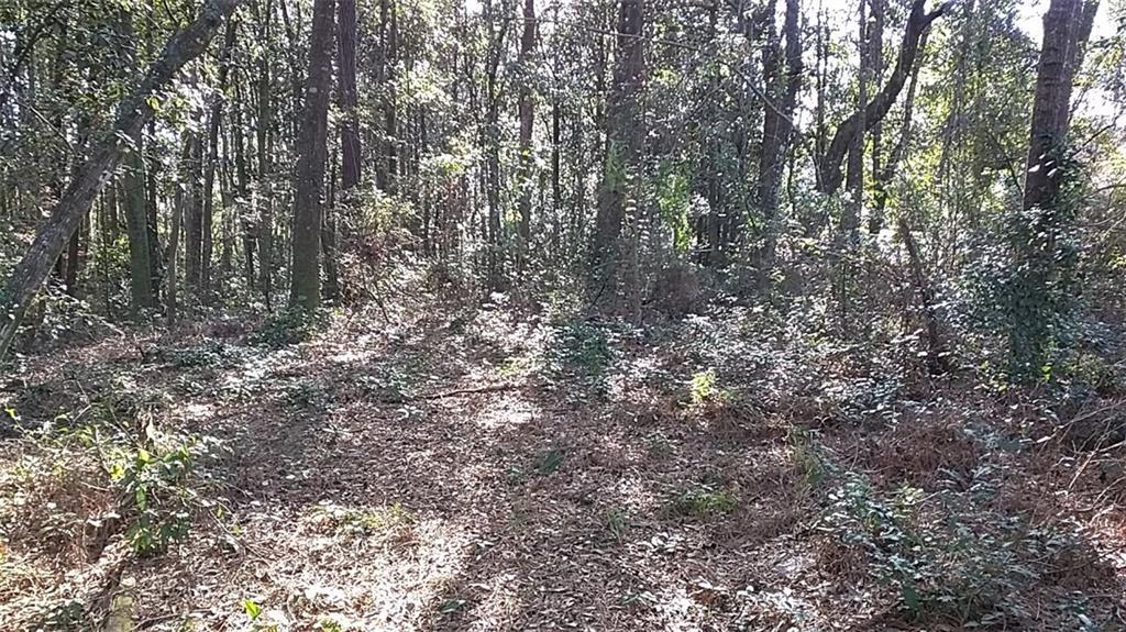 0 Battles Road - Photo 1