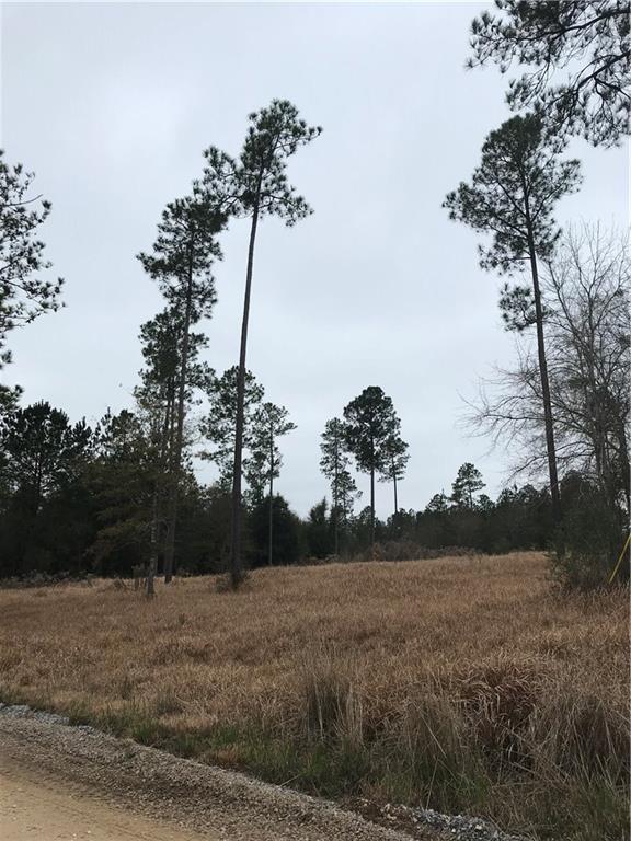 0 Kidd Road - Photo 1