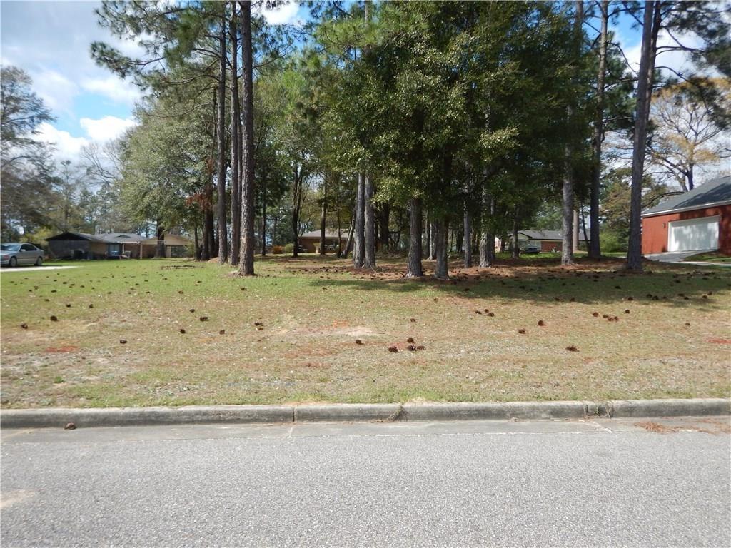 4307 Bent Tree Road - Photo 1