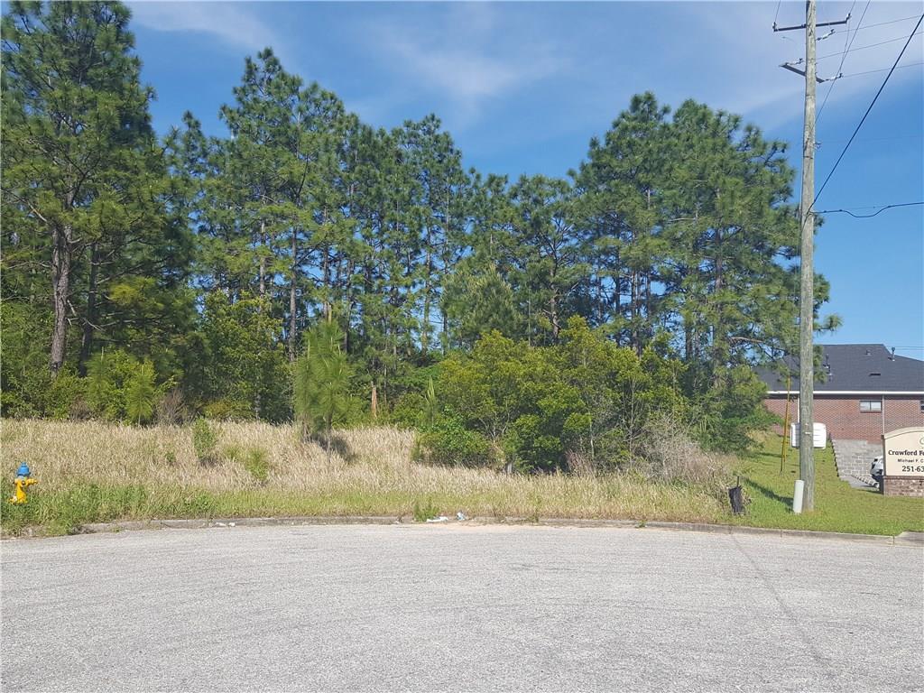 0 Summit Court - Photo 1