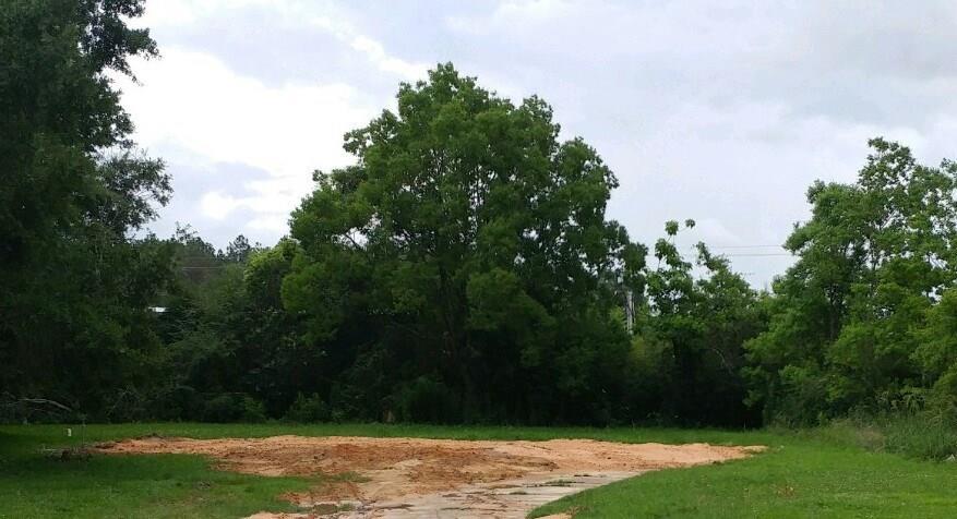 1121 Joaneen Drive - Photo 1