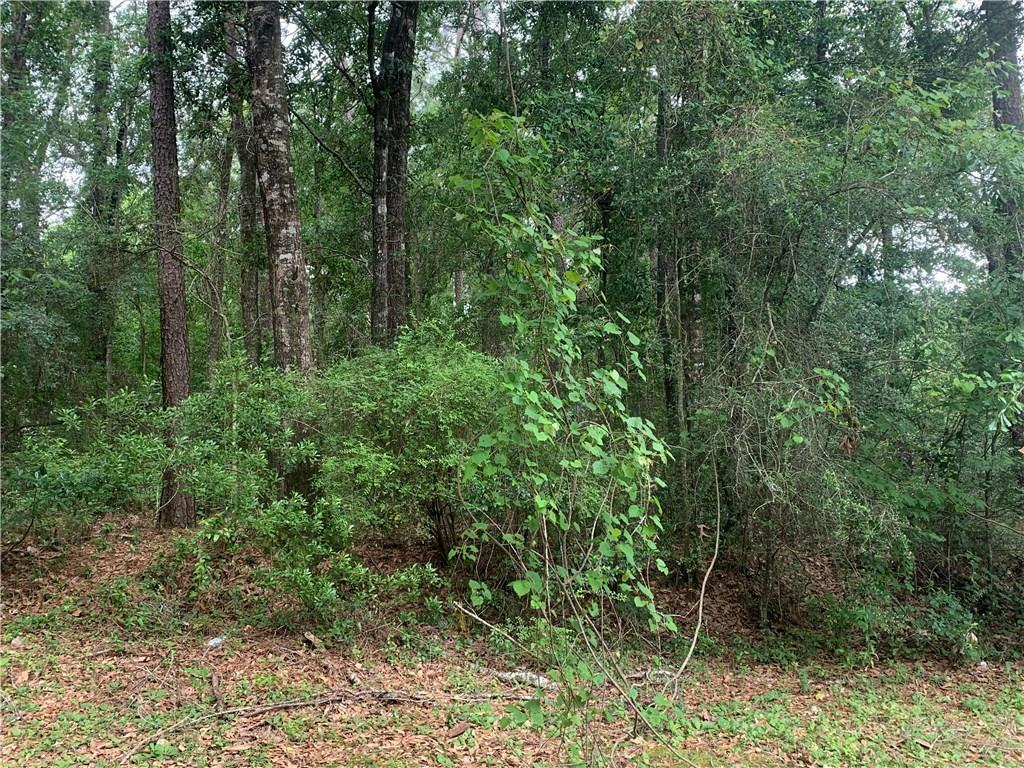 0 Canebrake Road - Photo 1
