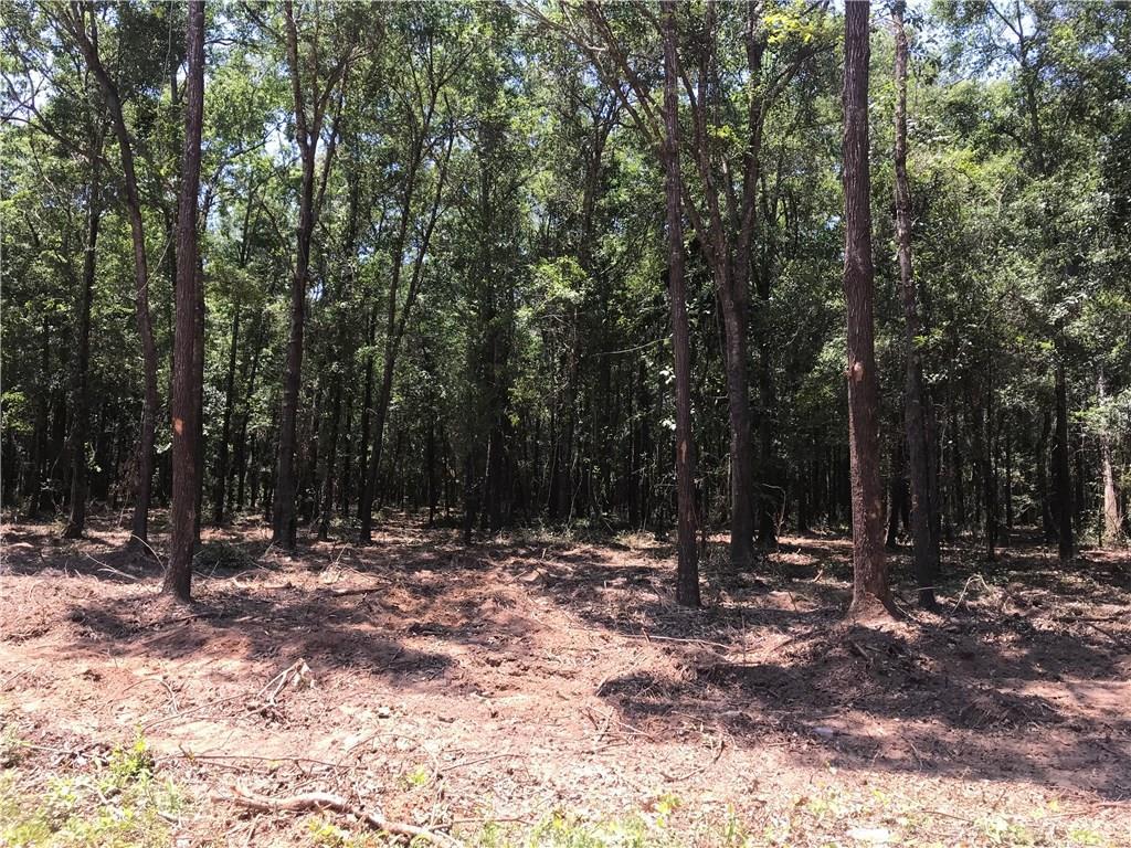 0 Brantley Lane - Photo 1