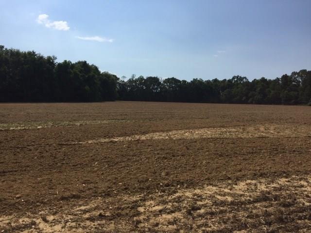 0 County Road 54 - Photo 1