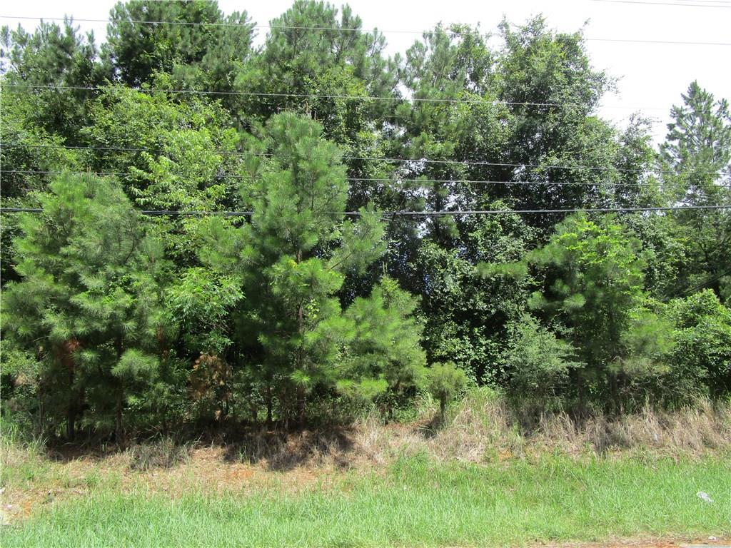 0 Lott Road - Photo 1