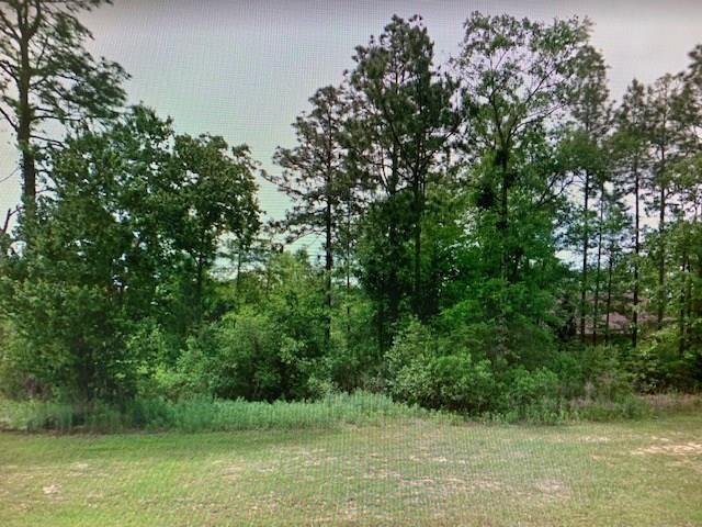 0 Raleigh Way - Photo 1