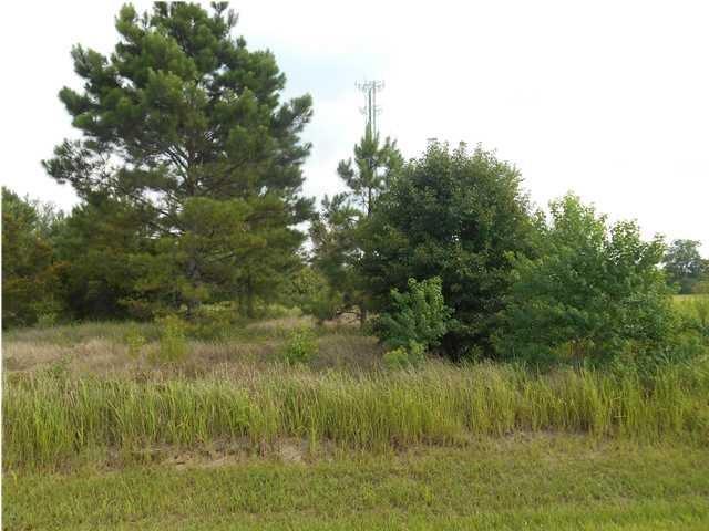 0 Morris Hill Drive - Photo 1