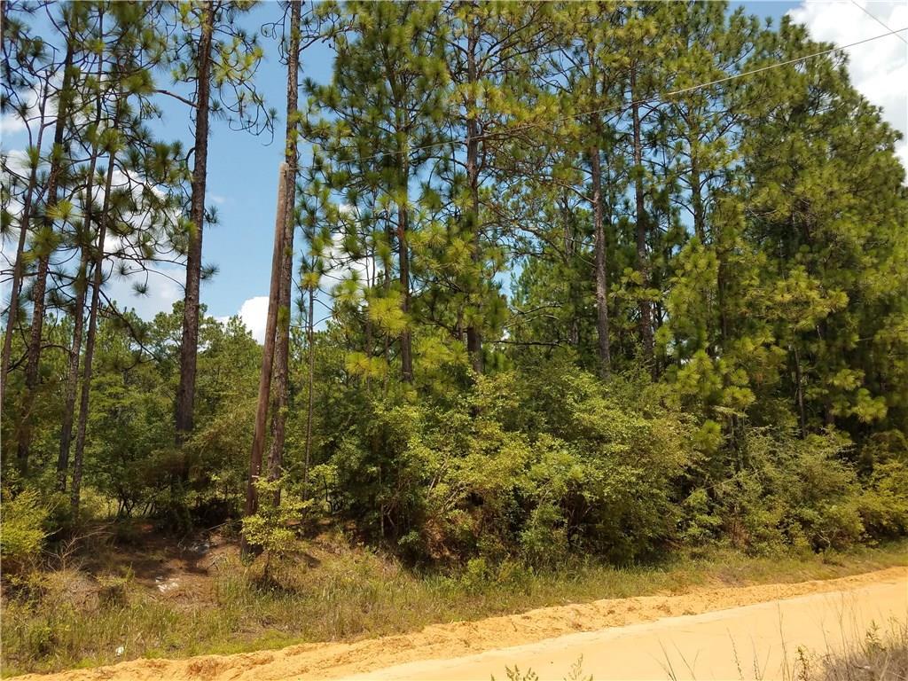 0 Lonnie Walker Road - Photo 1