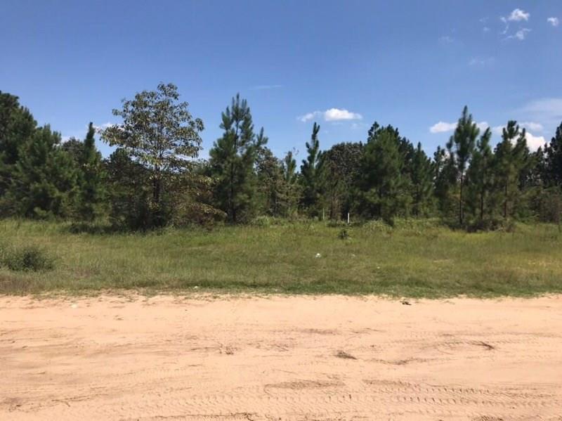 7029 Chunchula-Georgetown Road - Photo 1